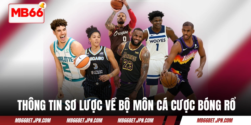 Thông tin sơ lược về bộ môn cá cược bóng rổ