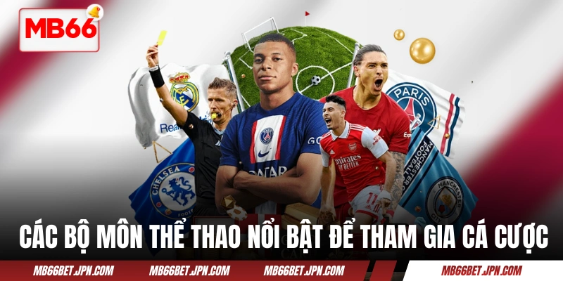 Các bộ môn thể thao nổi bật để tham gia đặt cược online