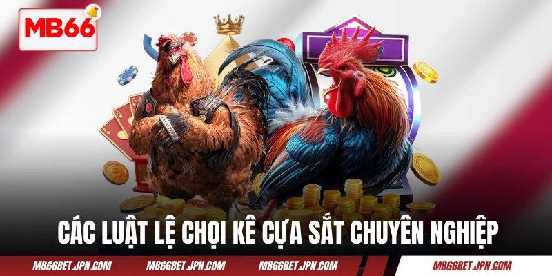 Các luật lệ chọi kê cựa sắt chuyên nghiệp