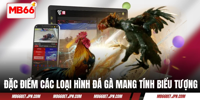 Đặc điểm các loại hình đá gà mang tính biểu tượng