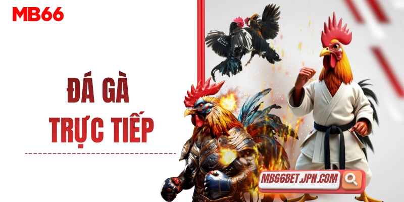 da ga truc tiep thumbnail