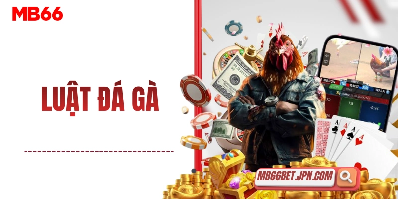 luat da ga thumbnail