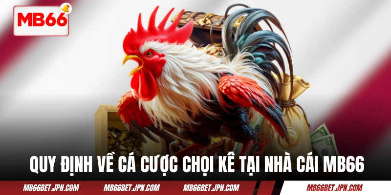 Quy định về cá cược chọi kê tại nhà cái MB66