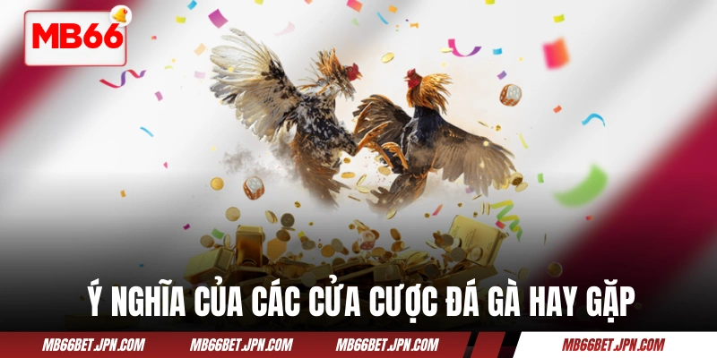 Ý nghĩa của các cửa cược đá gà hay gặp